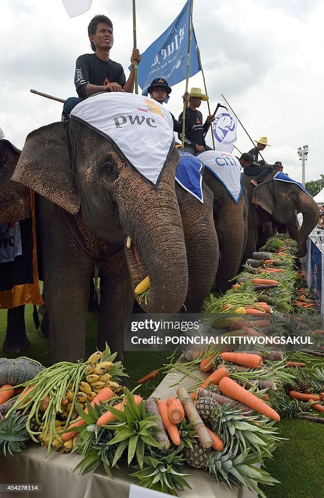 THAILAND-CONSERVATION-ANIMAL-SPORT-POLO