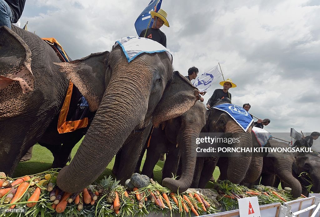 THAILAND-CONSERVATION-ANIMAL-SPORT-POLO