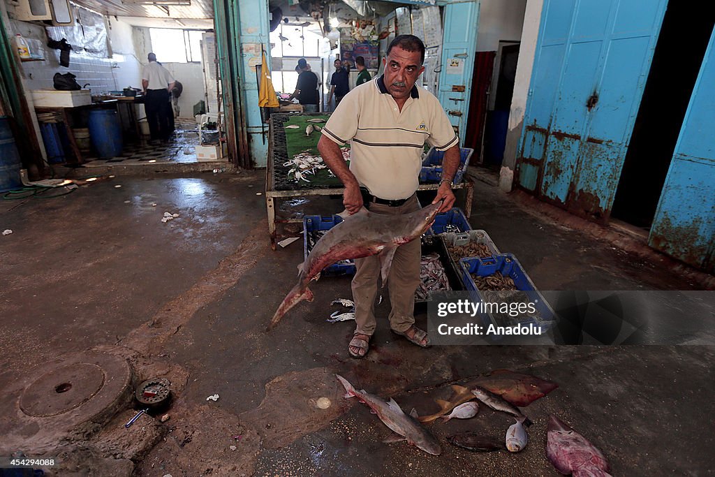 Fish markets in Gaza