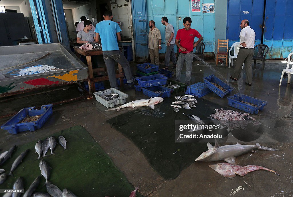 Fish markets in Gaza