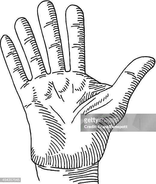 hand palm stop gesture drawing - biomedical illustration stock illustrations