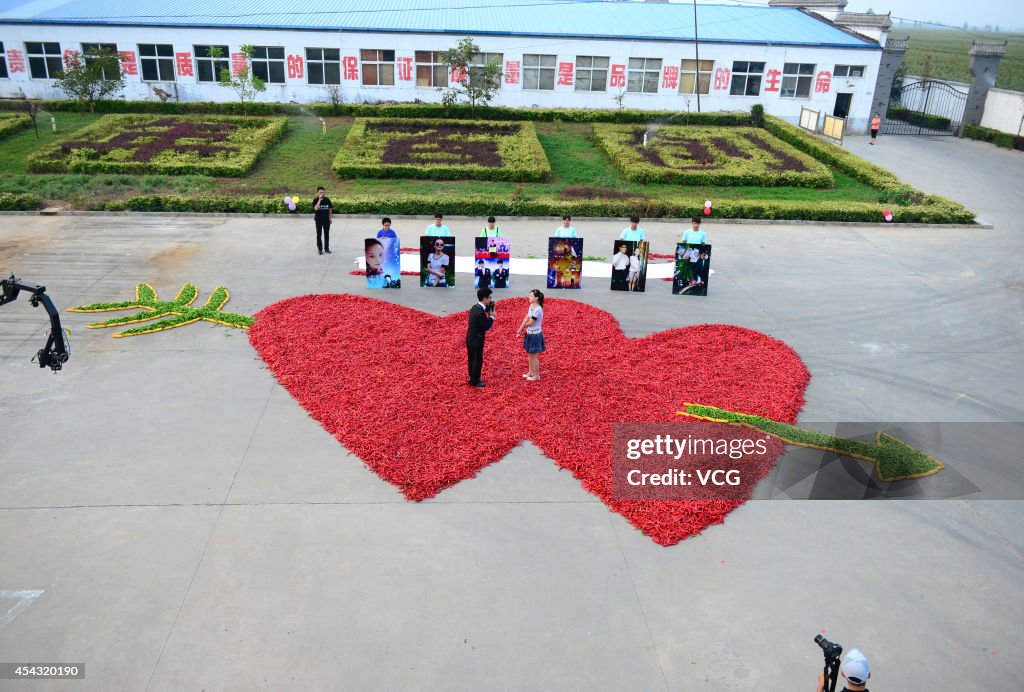 99,999 Red Peppers Get Used For Proposal In Handan