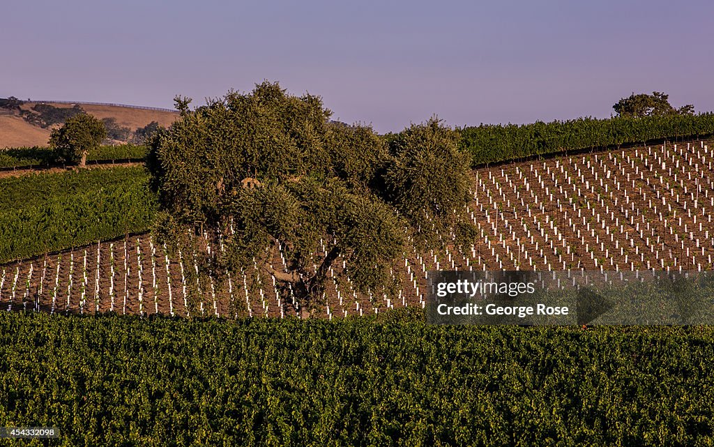 Exploring Santa Barbara's Wine Country