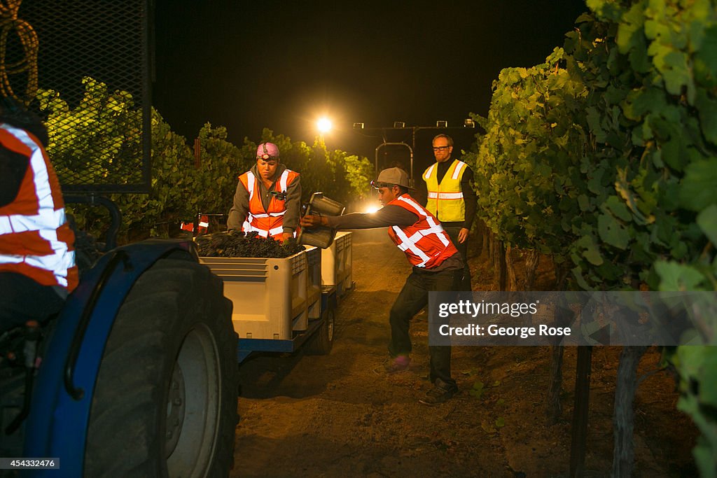 California 2014 Grape Harvest Underway