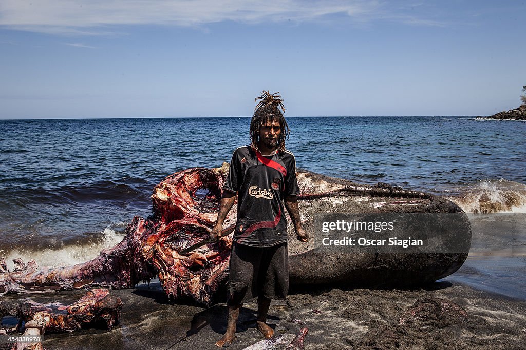 Traditional Whale Hunting In Indonesia