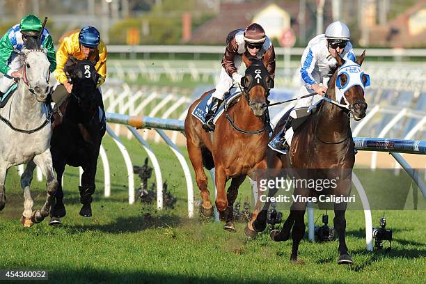 Ben Melham riding Dissident wins Race 8, the New Zealand Bloodstock Memsie Stakes during Melbourne Racing at Caulfield Racecourse on August 30, 2014...