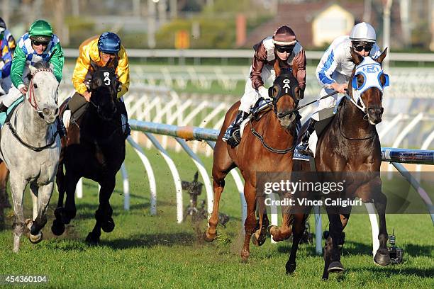 Ben Melham riding Dissident wins Race 8, the New Zealand Bloodstock Memsie Stakes during Melbourne Racing at Caulfield Racecourse on August 30, 2014...