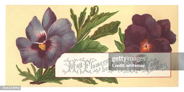 victorian new year card with pansies, 1877 - pansy stock illustrations