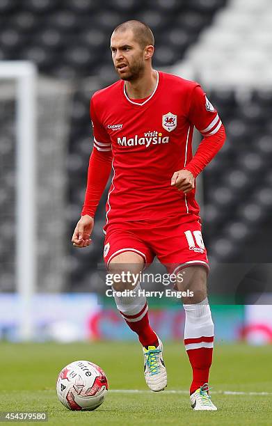 Matthew Connolly of Cardiff City in action during the Sky Bet Championship match between Fulham and Cardiff City at Craven Cottage on August 30, 2014...
