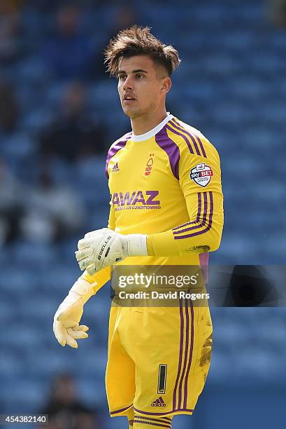 Karl Darlow of Nottingham Forest looks on during the Sky Bet Championship match between Sheffield Wednesday and Nottingham Forest at Hillsborough...