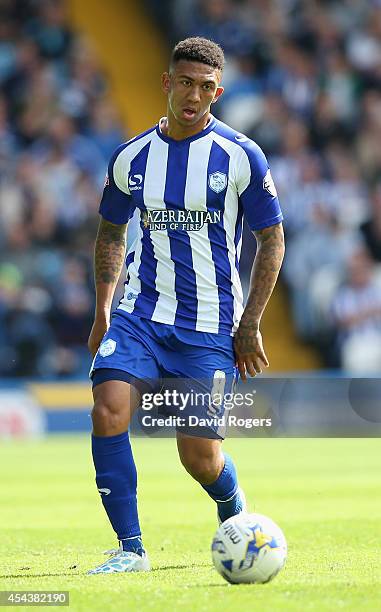 Liam Palmer of Sheffield Wednesday runs with the ball during the Sky Bet Championship match between Sheffield Wednesday and Nottingham Forest at...