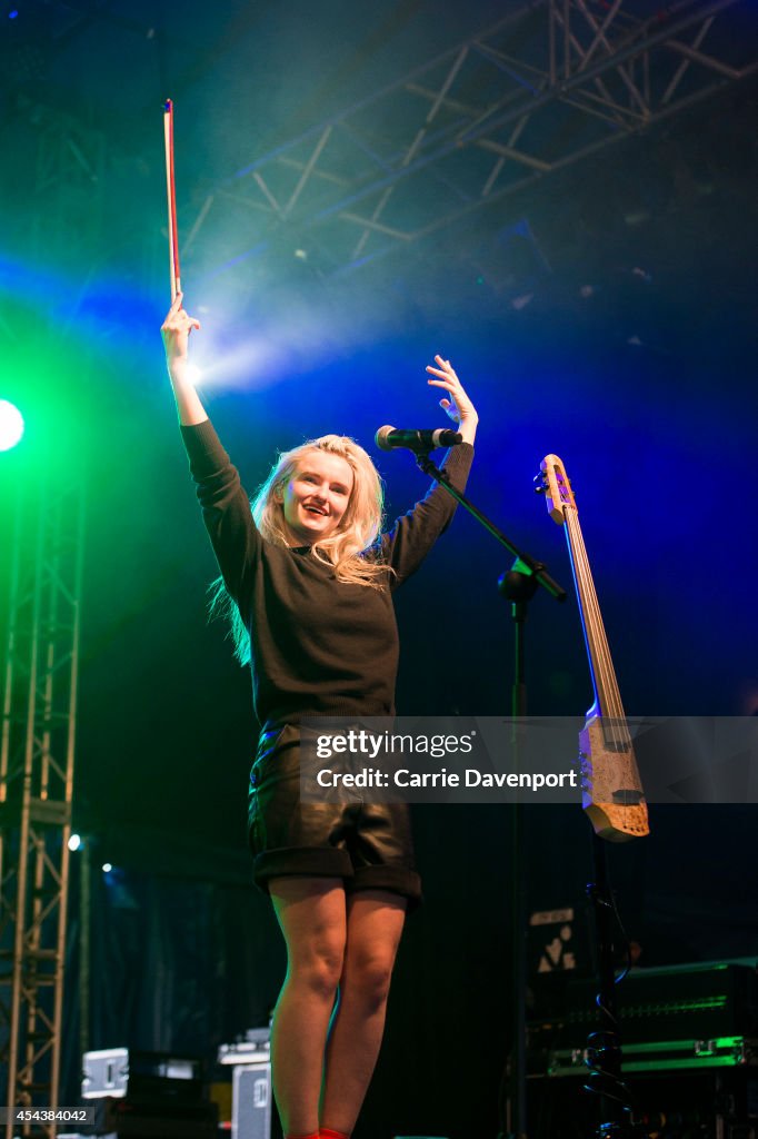 Electric Picnic 2014 - Day 2