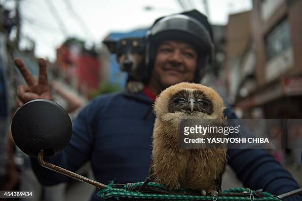 Man flashes the V sign as he drives a motorcycle with his owl and dog at the Rocinha favela in Rio de Janeiro, Brazil, on August 30, 2014. AFP PHOTO...