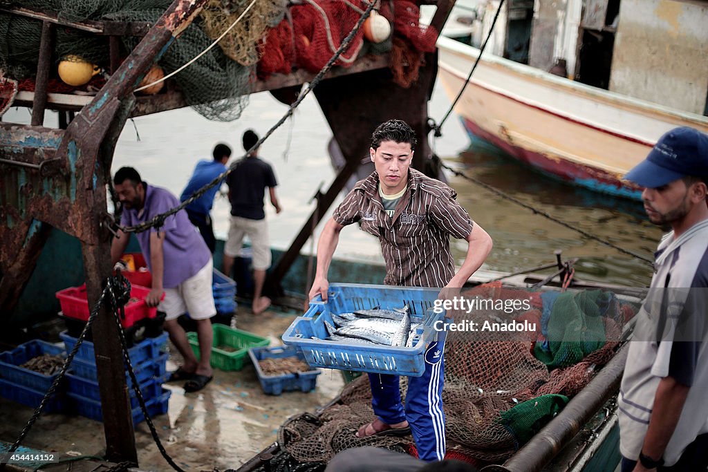 Palestinian fishermen return to sea after the ceasefire declared