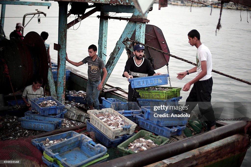 Palestinian fishermen return to sea after the ceasefire declared