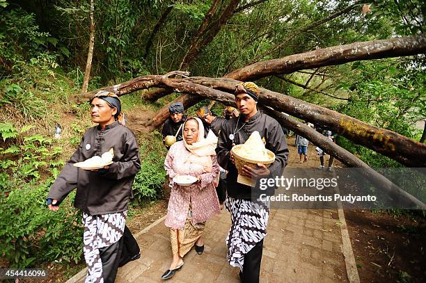 Dieng's religious leaders attend to the Larung ritual as part of Ruwatan Rambut Gimbal ceremony on August 31, 2014 in Dieng, Java, Indonesia. The...