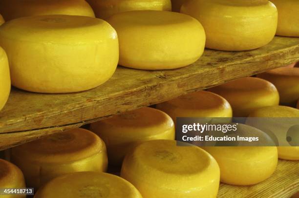 Yellow Rind Cheese 191 Holland Rind Stock Photos, High-Res Pictures, and Images - Getty Images