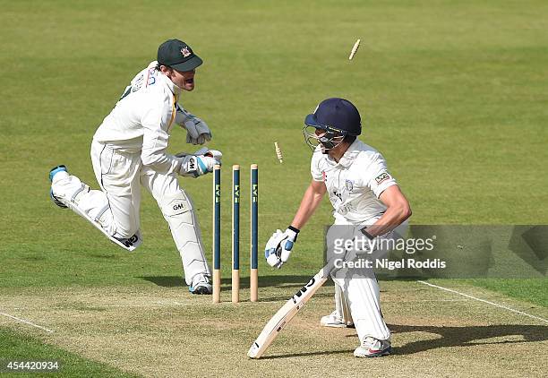 Wicket keeper Chris Read of Nottinghamshire stumps Michael Richardson of Durham during the LV County Championship match between Durham and...
