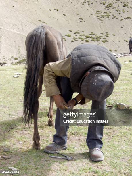 India, Jammu And Kashmir State, Ladakh Region, High Altitude Trek, Camp Site At Shang Phu, 4147 Meters.