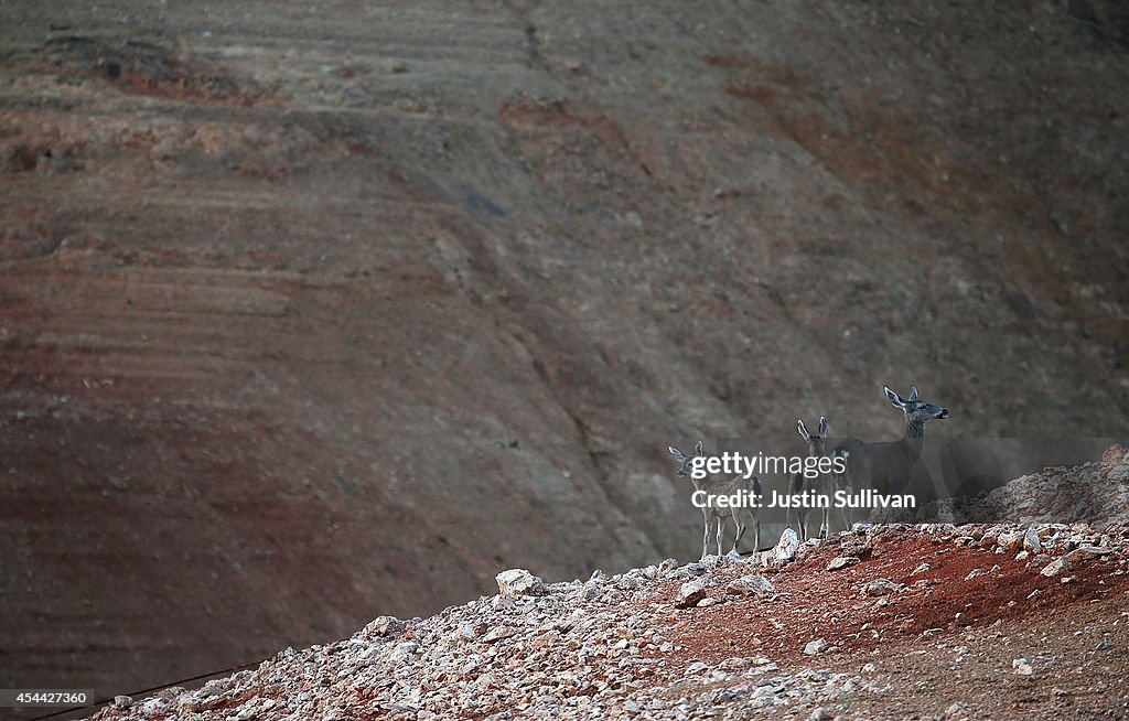 Statewide Drought Severely Affects Shasta Lake's Water Level