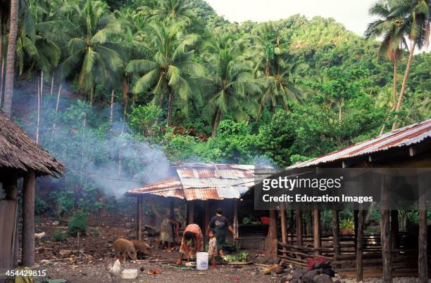 Western Samoa, Island Of Upolu, Village Of Uofato, Remote Village On East CoaSt Sunday Umu, Oven,, Family Preparing Meal.