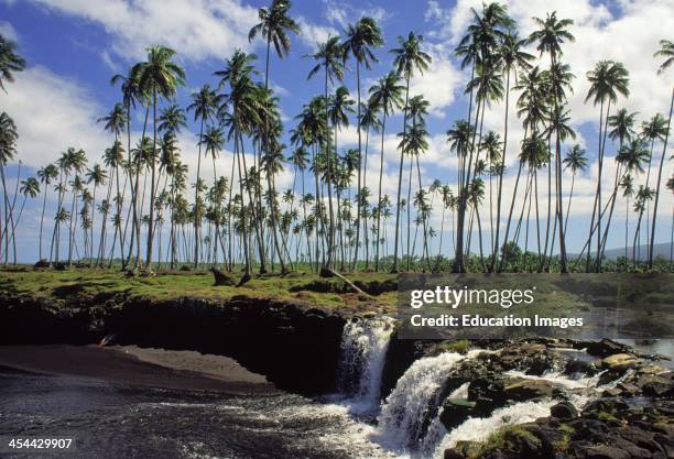 Western Samoa, Island Of SavaiI Black Sand Beaches.