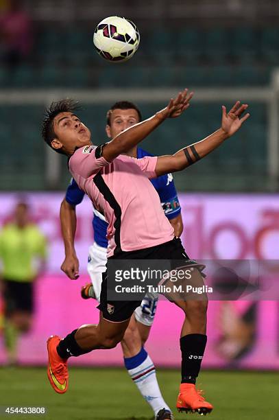 Paulo Dybala of Palermo in action during the Serie A match between US Citta di Palermo and UC Sampdoria at Stadio Renzo Barbera on August 31, 2014 in...