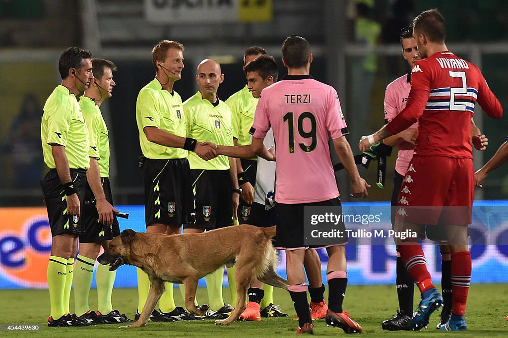 US Citta di Palermo v UC Sampdoria - Serie A