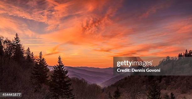 cherokee overlook at dawn - gatlinburg stock pictures, royalty-free photos & images