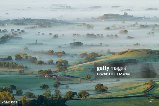 dawn mist on somerset levels - somerset england stock-fotos und bilder