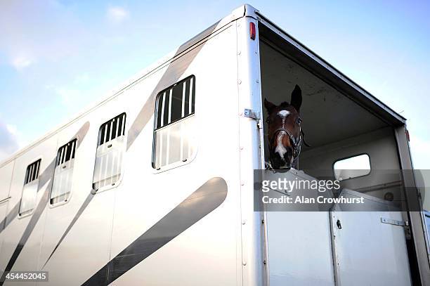 Runner waits in its horsebox during the point to point meeting at Barbury Castle racecourse on December 08, 2013 in Swindon, England.