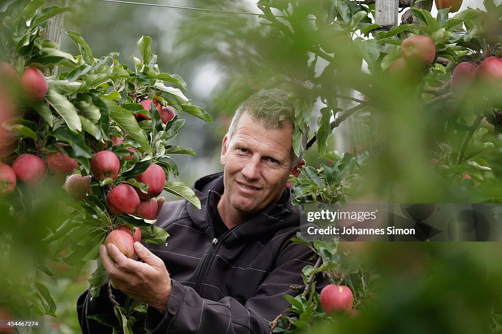 Apple Farmers To Receive EU Help Following Price Drop and Russian Sanctions