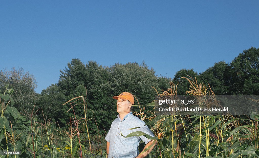 Heirloom Eight Row Flint corn