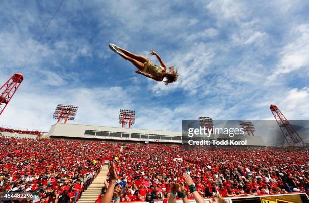 Cheerleader for the Edmonton Eskimos goes flying through the air while they played the Calgary Stampeders during their CFL football game September 1,...