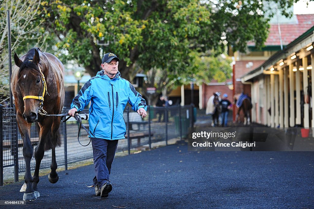 Moonee Valley Trackwork Session