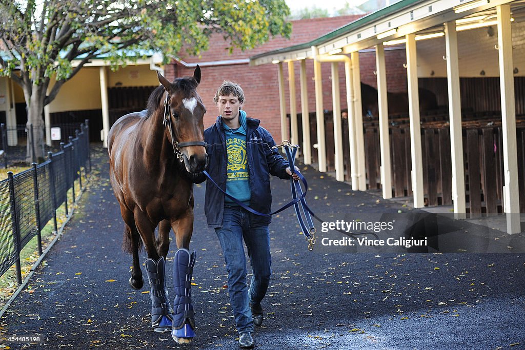 Moonee Valley Trackwork Session