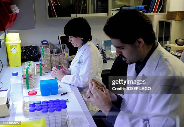 13 Josep Sunyer Stock Photos, HighRes Pictures, and Images Getty Images