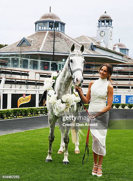 Rachael Finch poses alongside a horse at the launch the 2014 Sydney Spring Carnival at Royal Randwick Racecourse on September 2, 2014 in Sydney,...