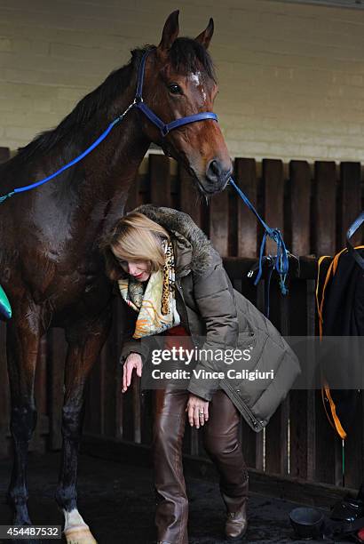 Trainer Gai Waterhouse checks on Hippopus after a trackwork session at Moonee Valley Racecourse on September 2, 2014 in Melbourne, Australia.