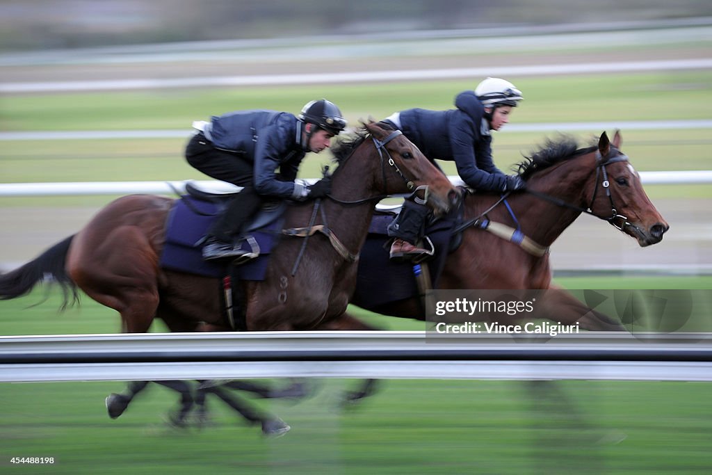 Moonee Valley Trackwork Session