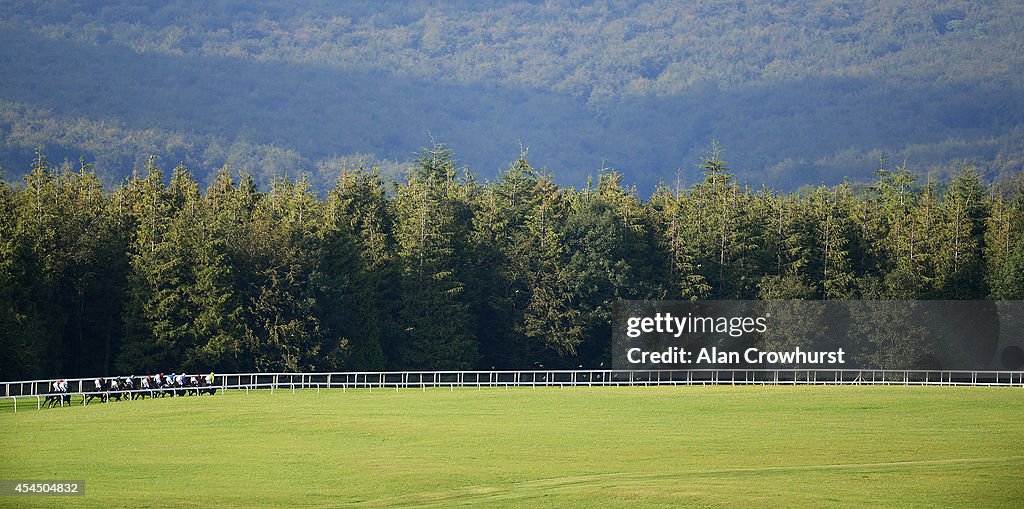 Goodwood Races