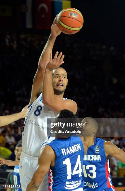Ronald Ramon 57 Ramon Baez Stock Photos, High-Res Pictures, and Images - Getty Images