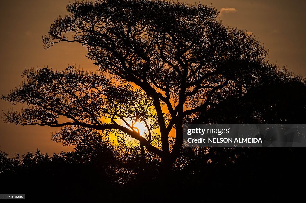 BRAZIL-ENVIRONMENT-PANTANAL