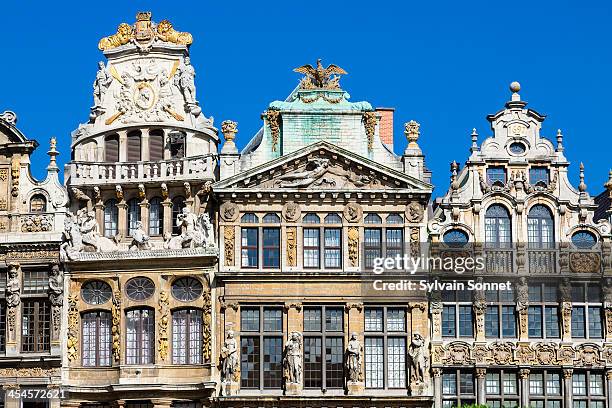 brussels, grand place - grand place stock-fotos und bilder