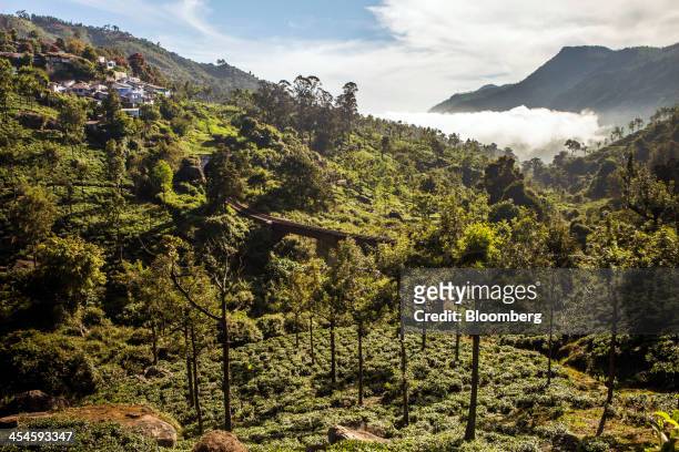 Railway line winds through tea estates in Coonoor, Tamil Nadu, India, on Saturday, Nov. 30, 2013. India is the worlds largest producer of tea after...