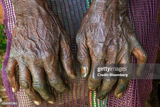 Worker's hands are photographed as she waits in line for payment at a Santosh Tea Industries Pvt. Collection center in Coonoor, Tamil Nadu, India, on...