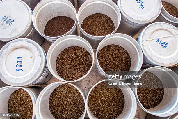 Canisters of tea samples sit at the Santosh Tea Industries Pvt. Factory in Coonoor, Tamil Nadu, India, on Saturday, Nov. 30, 2013. India is the...