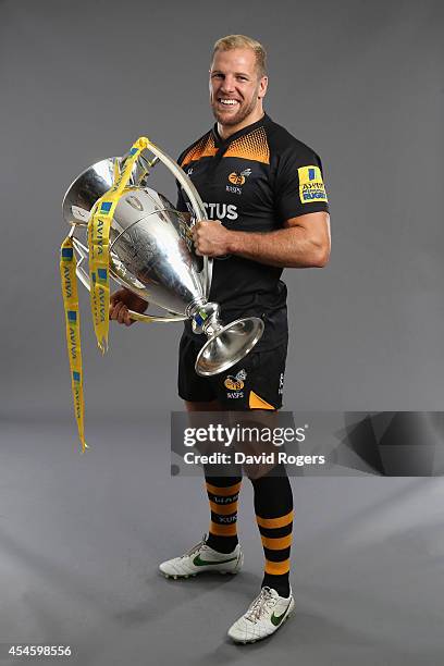 Captain James Haskell of Wasps poses during the Aviva Premiership Rugby 2014-2015 Season Launch at Twickenham Stadium on August 27, 2014 in London,...