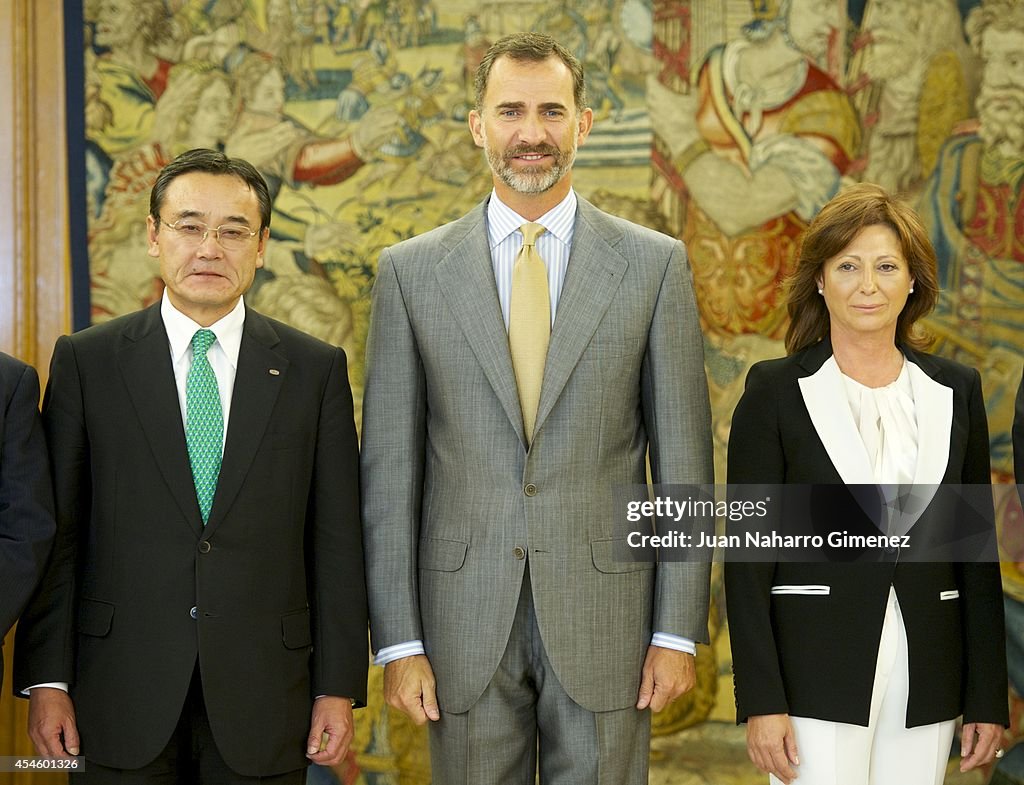 King Felipe VI of Spain Attends Audience at Zarzuela Palace
