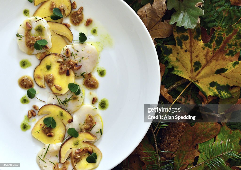 Cumbrian Ceps and Scallops